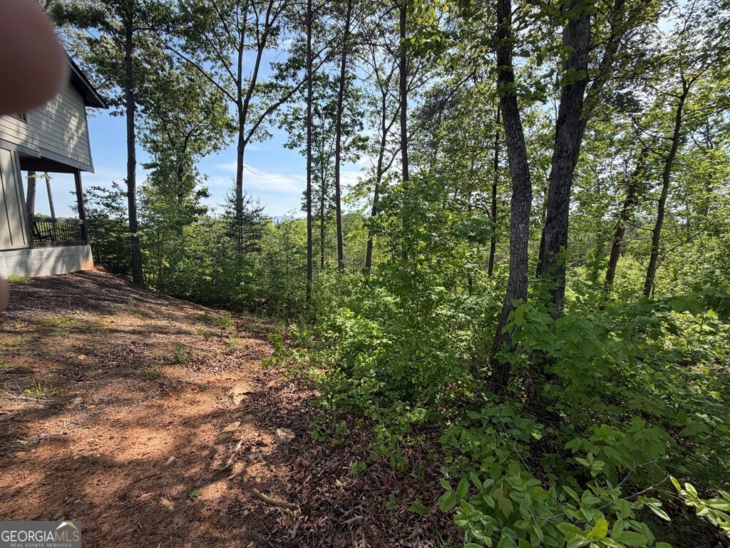 LOT 31 Summit View Lane