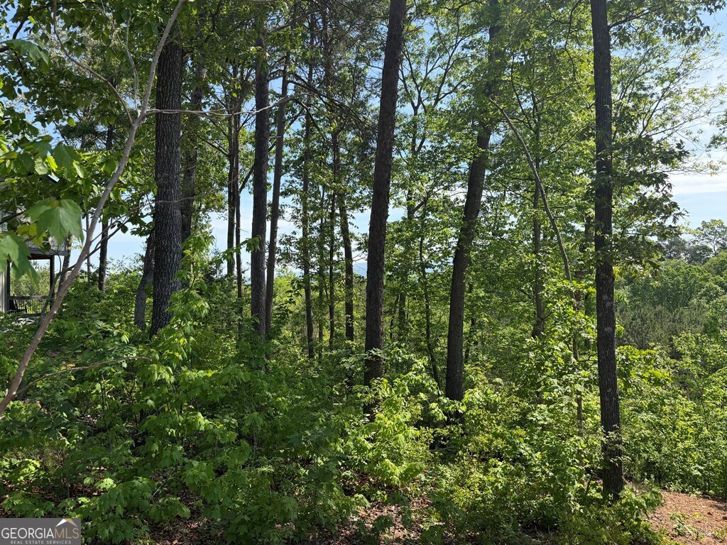 LOT 31 Summit View Lane