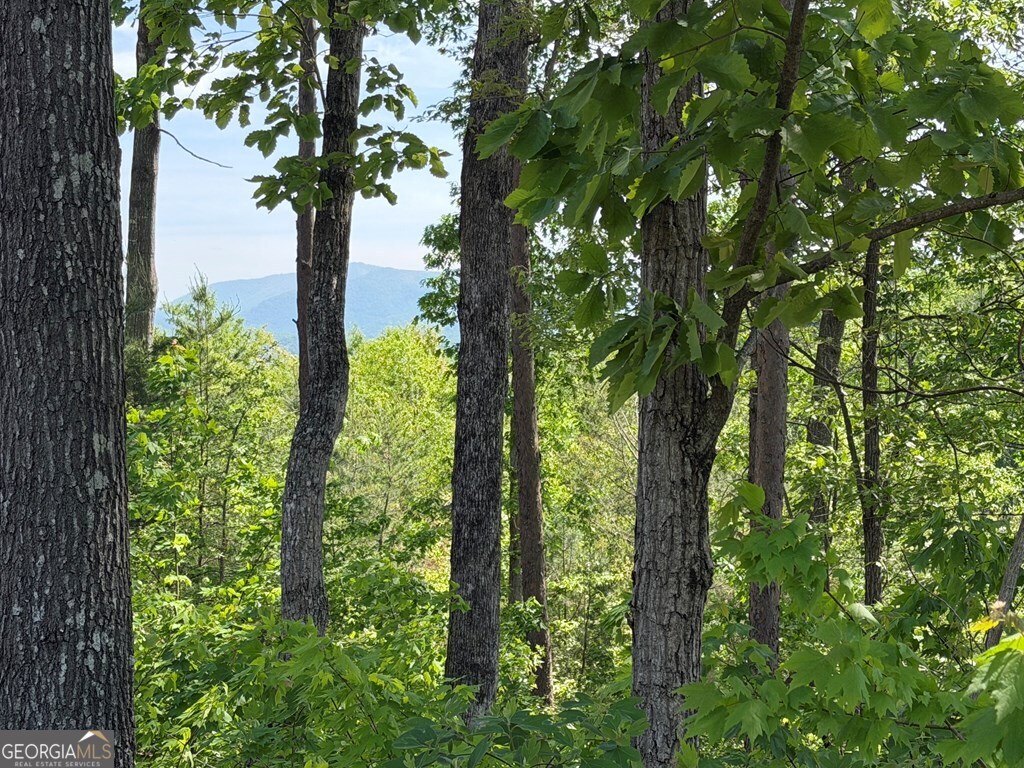 LOT 31 Summit View Lane