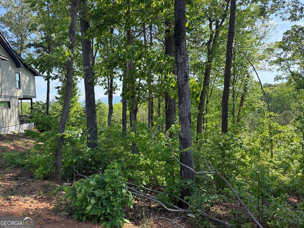 LOT 31 Summit View Lane