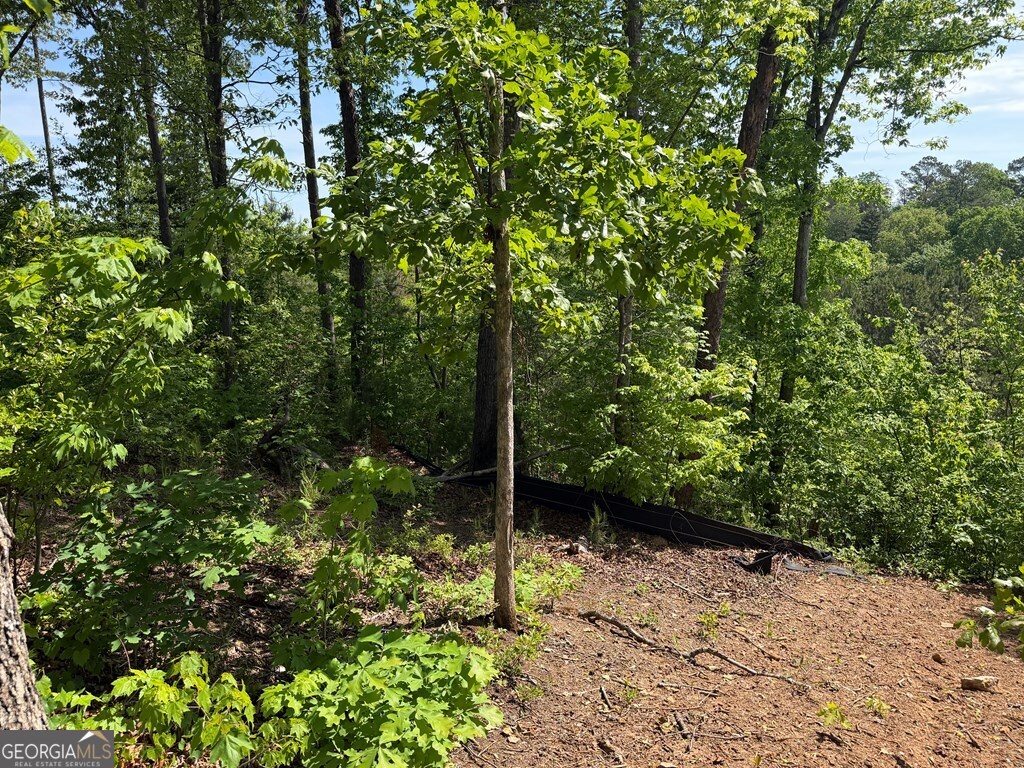 LOT 31 Summit View Lane