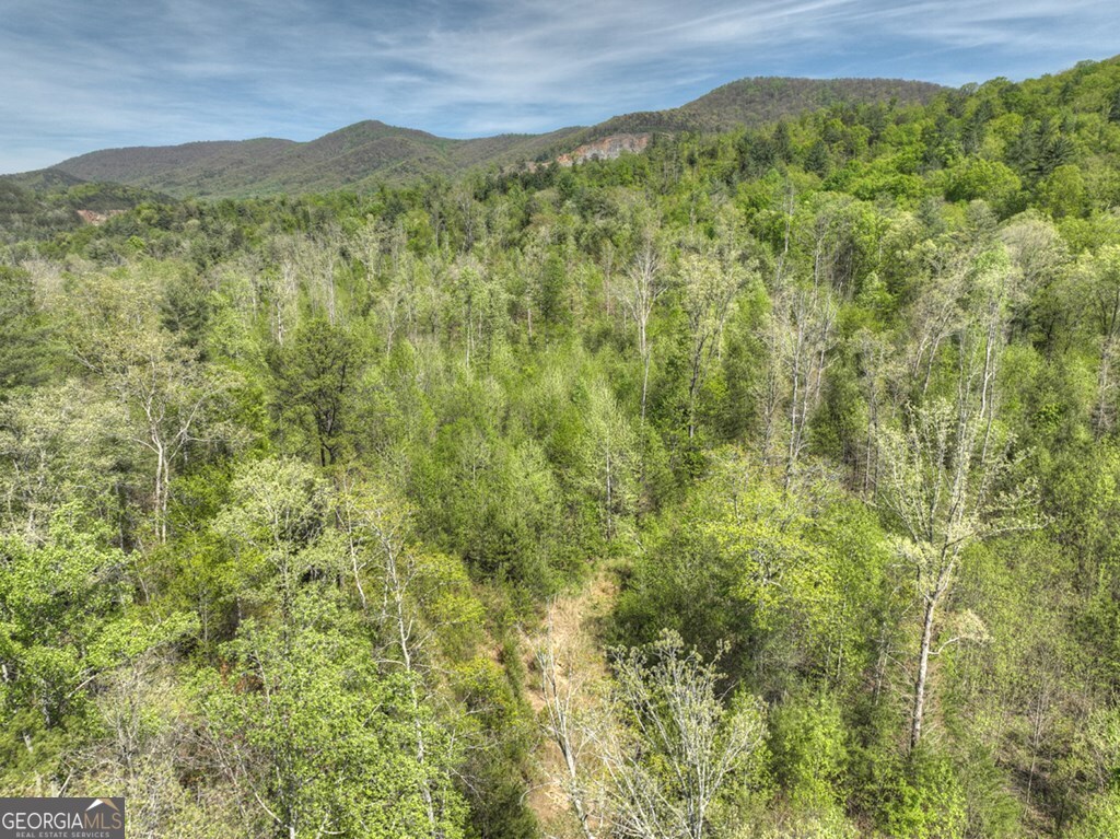 138.06AC N Highway 515
