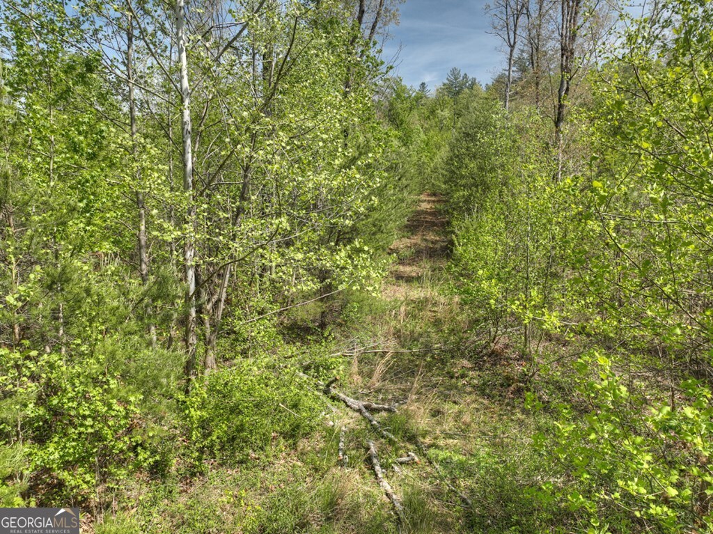 138.06AC N Highway 515