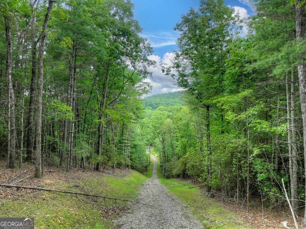 1696 Rocky Top Road