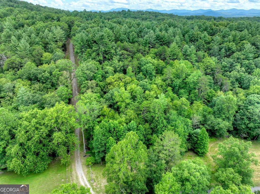 1696 Rocky Top Road