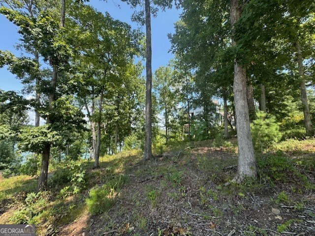 LOT 5 Hunter Lane