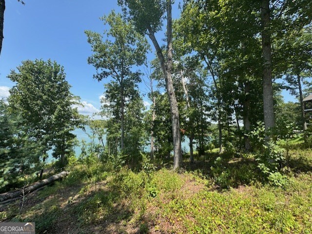 LOT 5 Hunter Lane