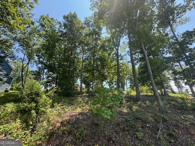 LOT 5 Hunter Lane