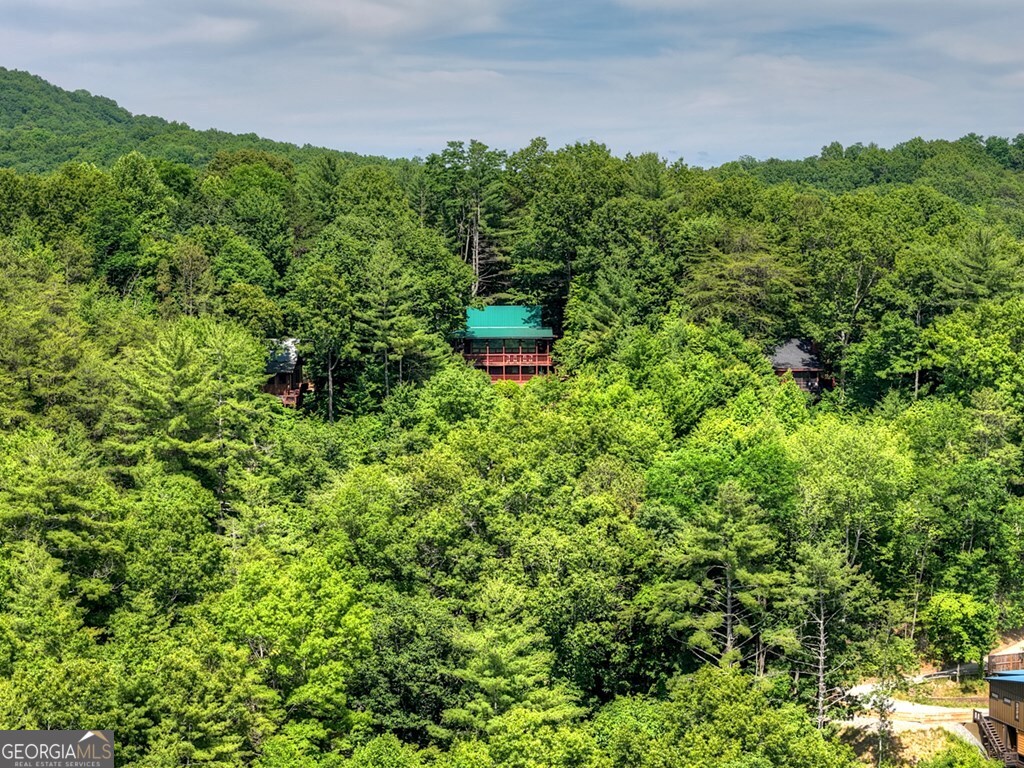 277 Hickory Nut Trail