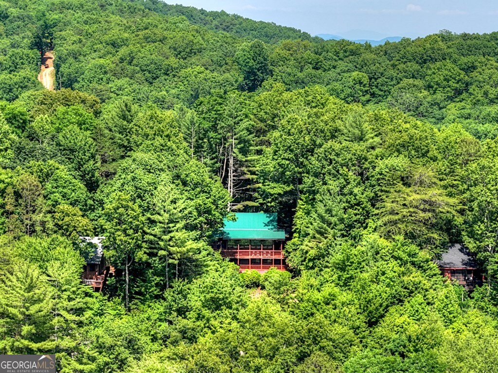 277 Hickory Nut Trail