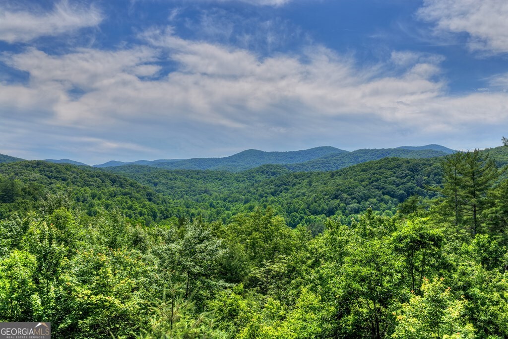 277 Hickory Nut Trail