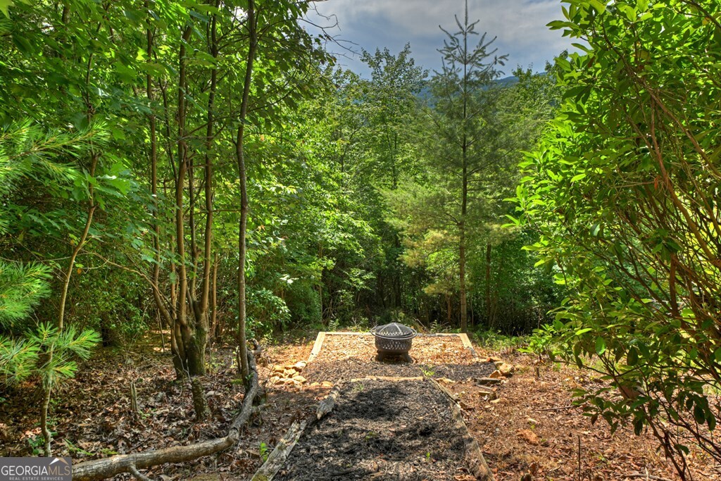 277 Hickory Nut Trail