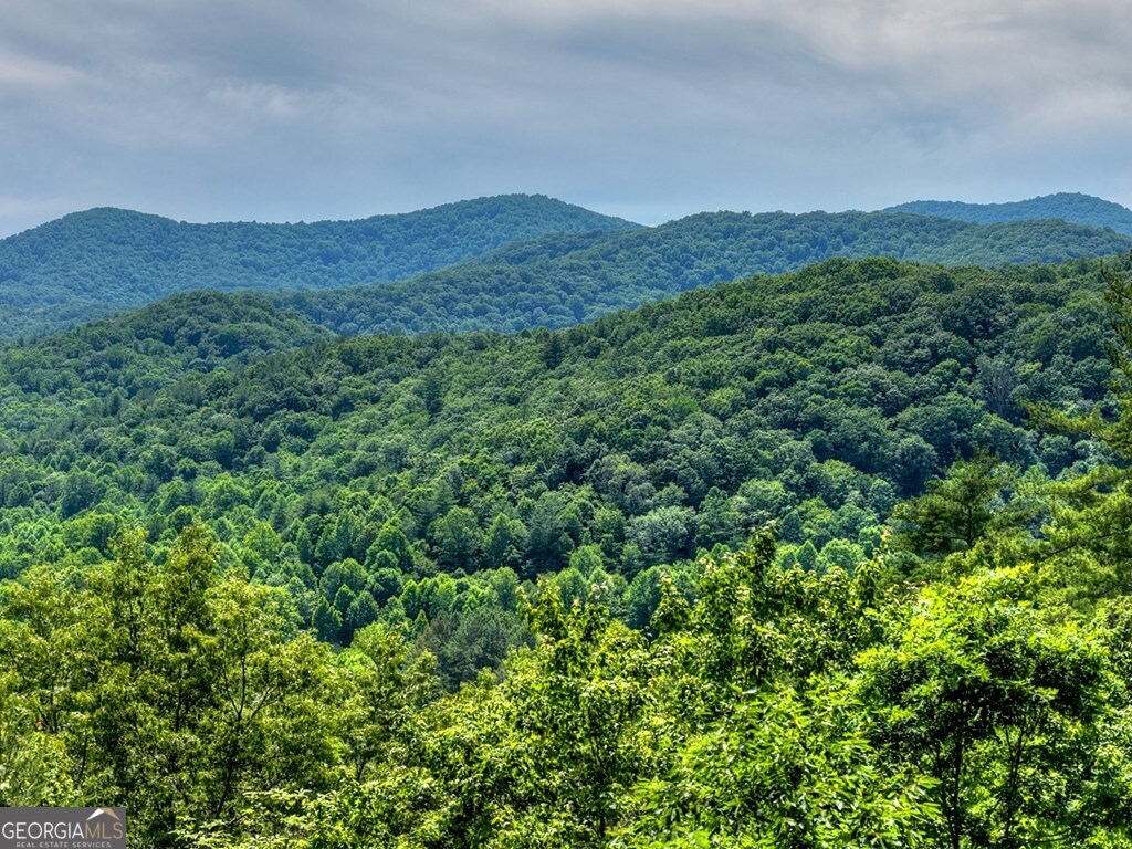277 Hickory Nut Trail