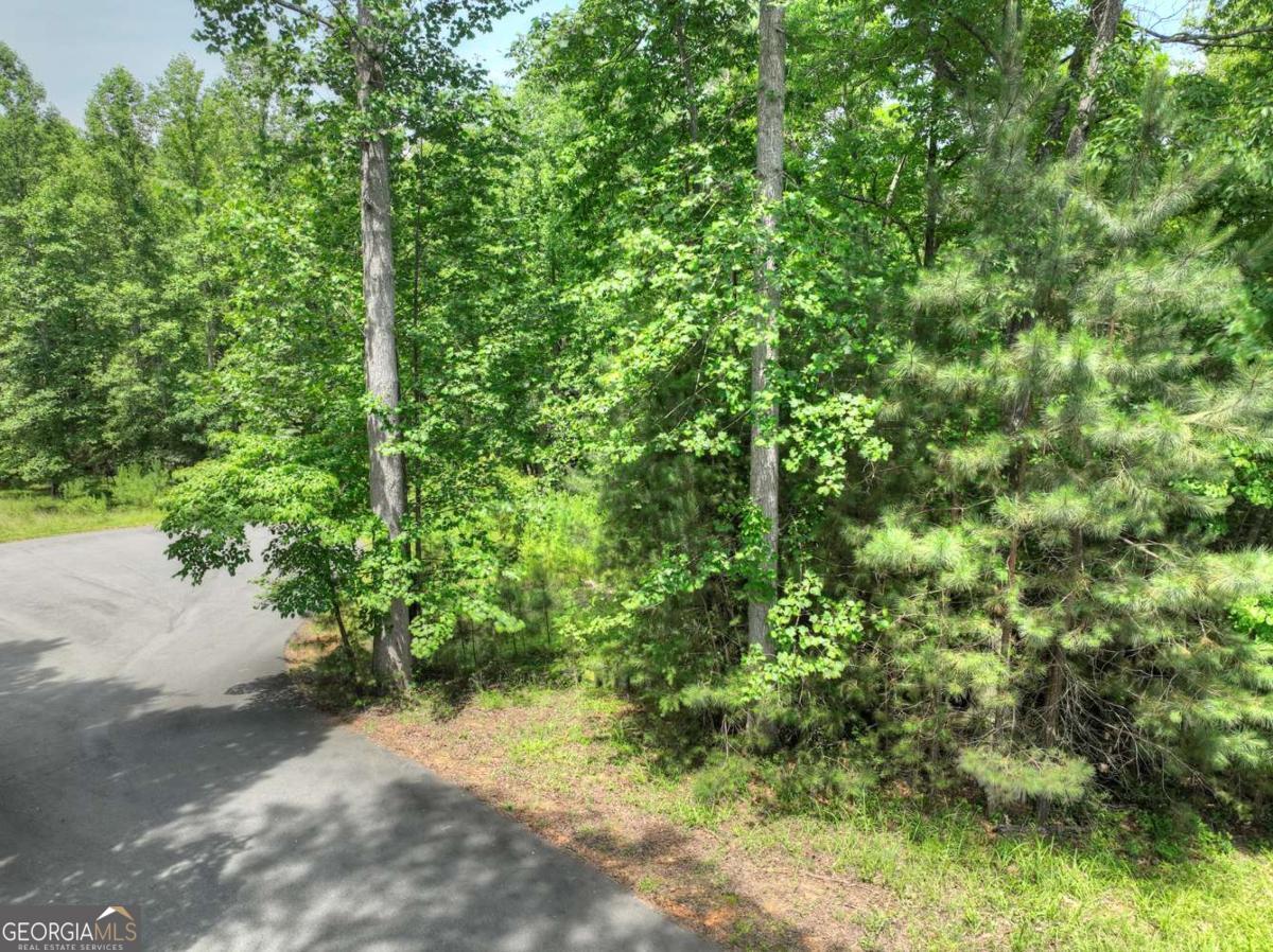 LOT 132 Fox Cove Road # 132