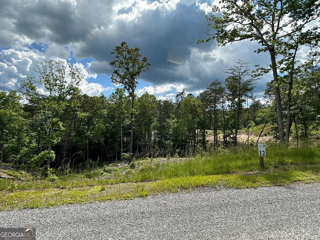 LT 12 Mountain Laurel Ridge