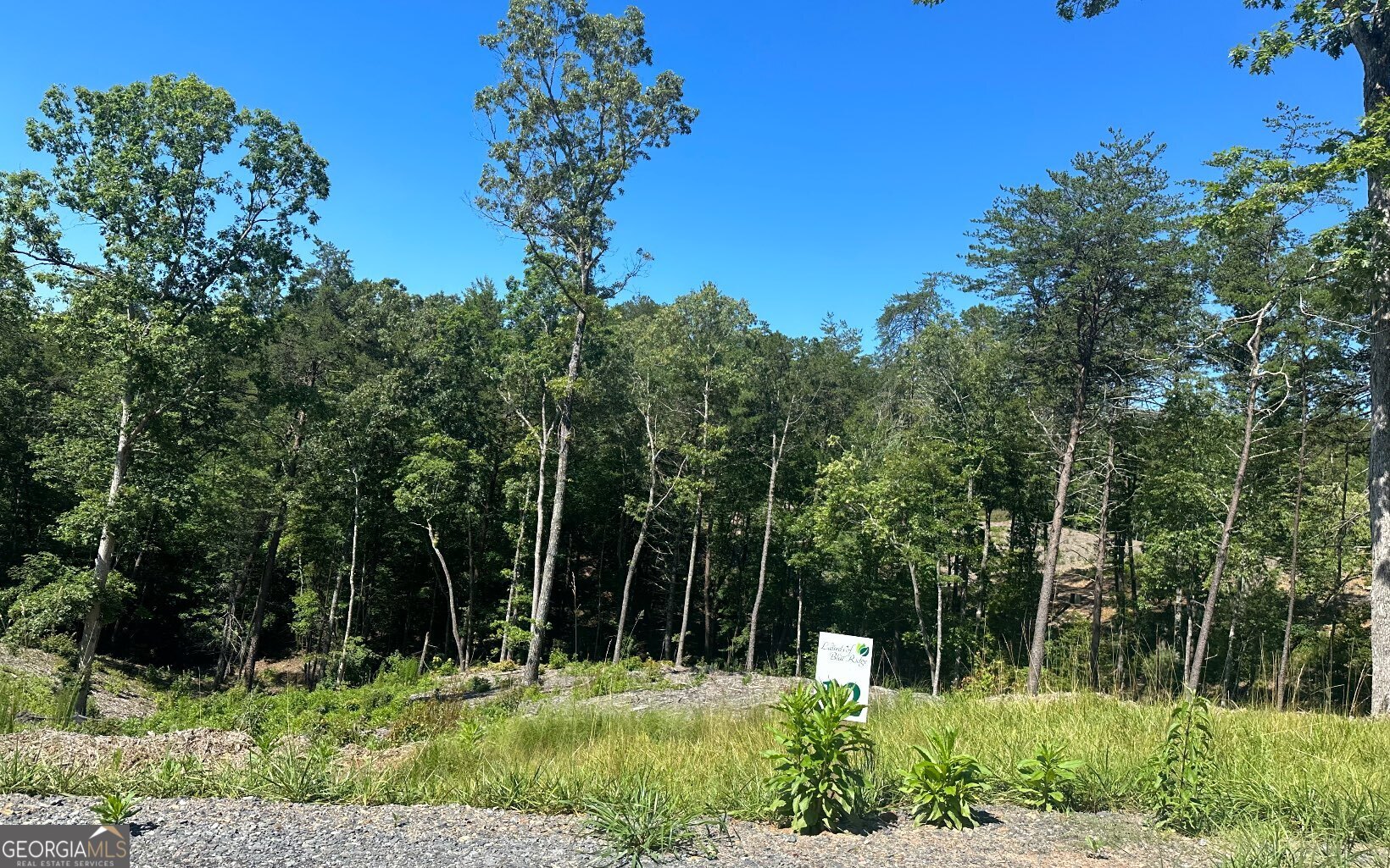 LT 12 Mountain Laurel Ridge