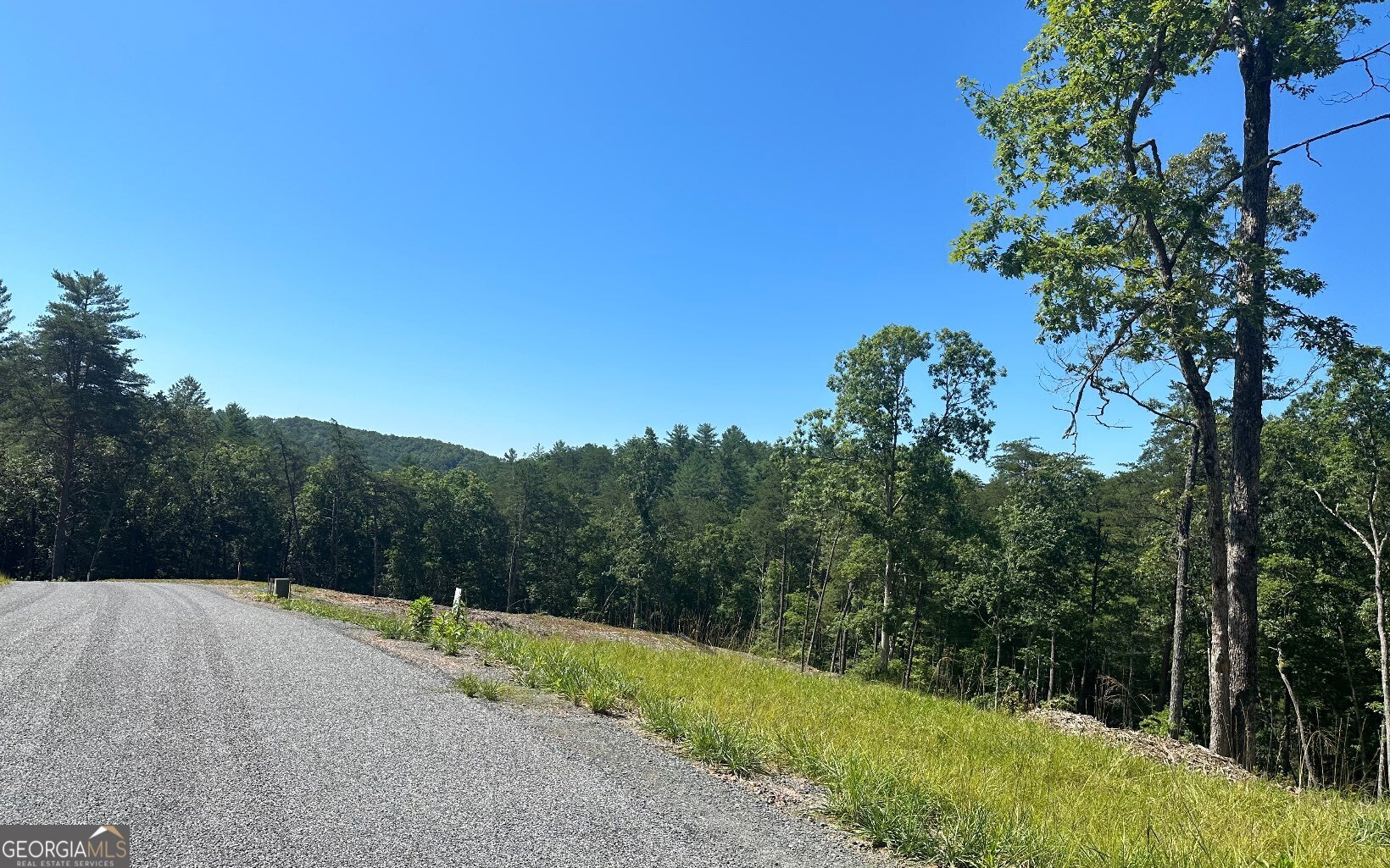 LT 12 Mountain Laurel Ridge
