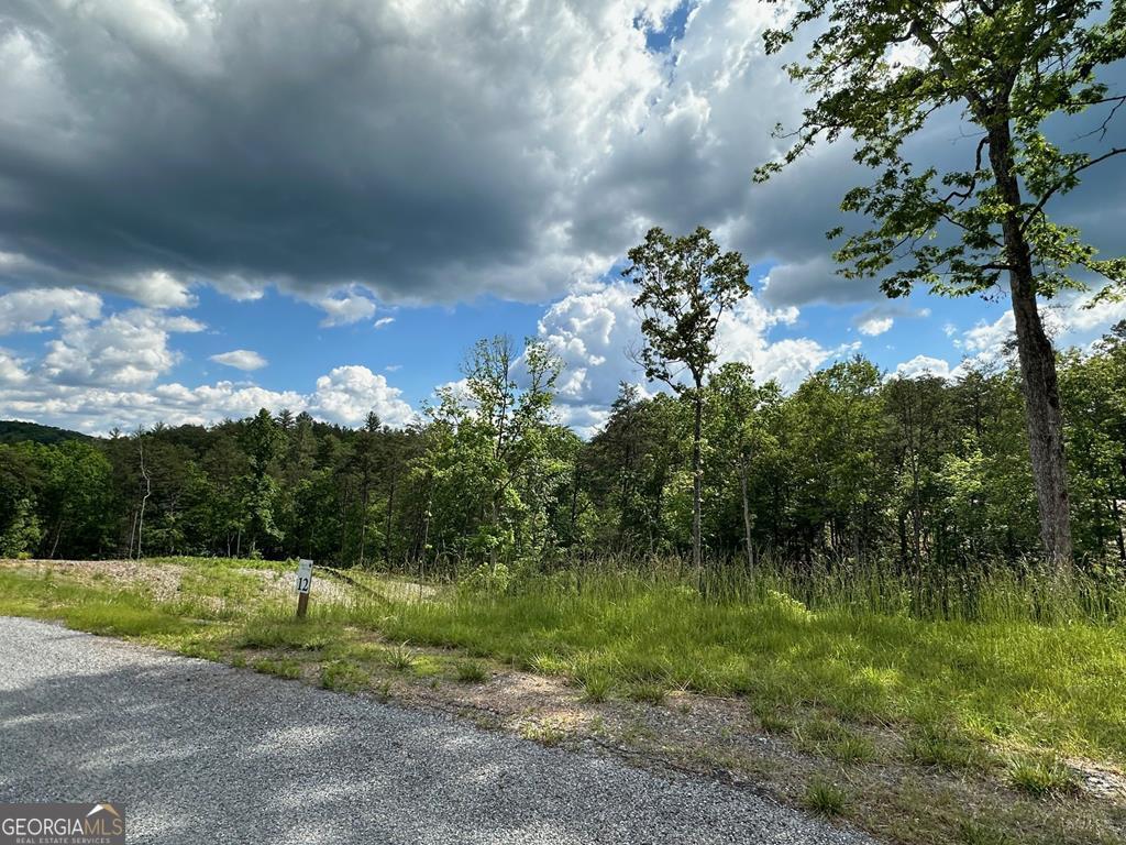 LT 12 Mountain Laurel Ridge