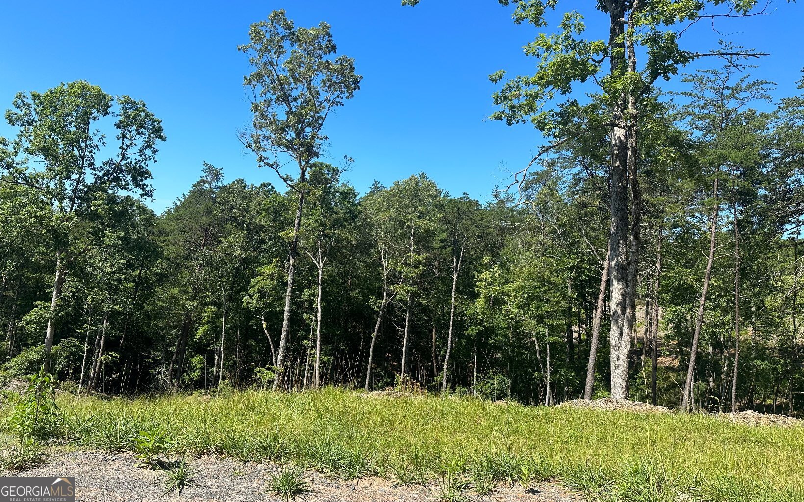 LT 12 Mountain Laurel Ridge