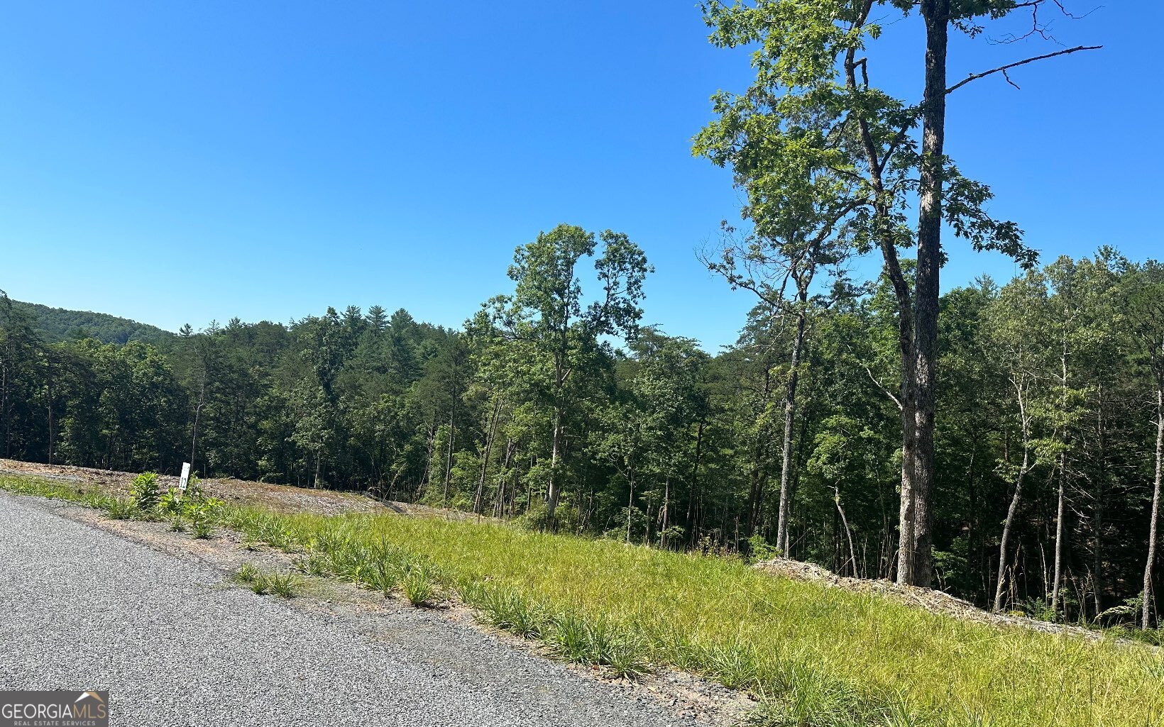 LT 12 Mountain Laurel Ridge
