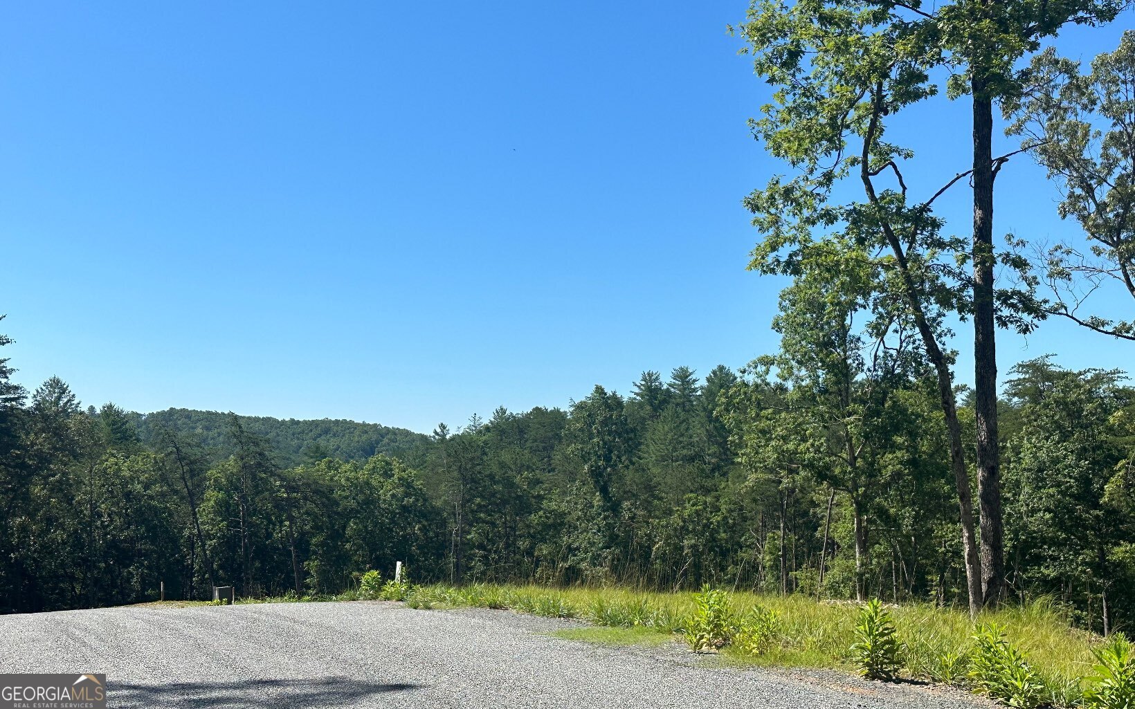 LT 12 Mountain Laurel Ridge