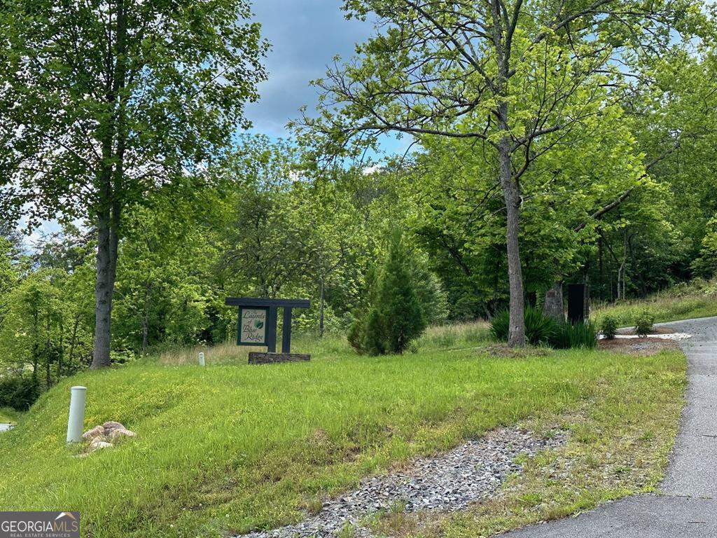 LT 12 Mountain Laurel Ridge