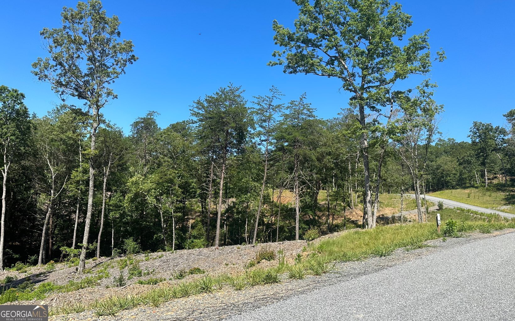 LT 12 Mountain Laurel Ridge