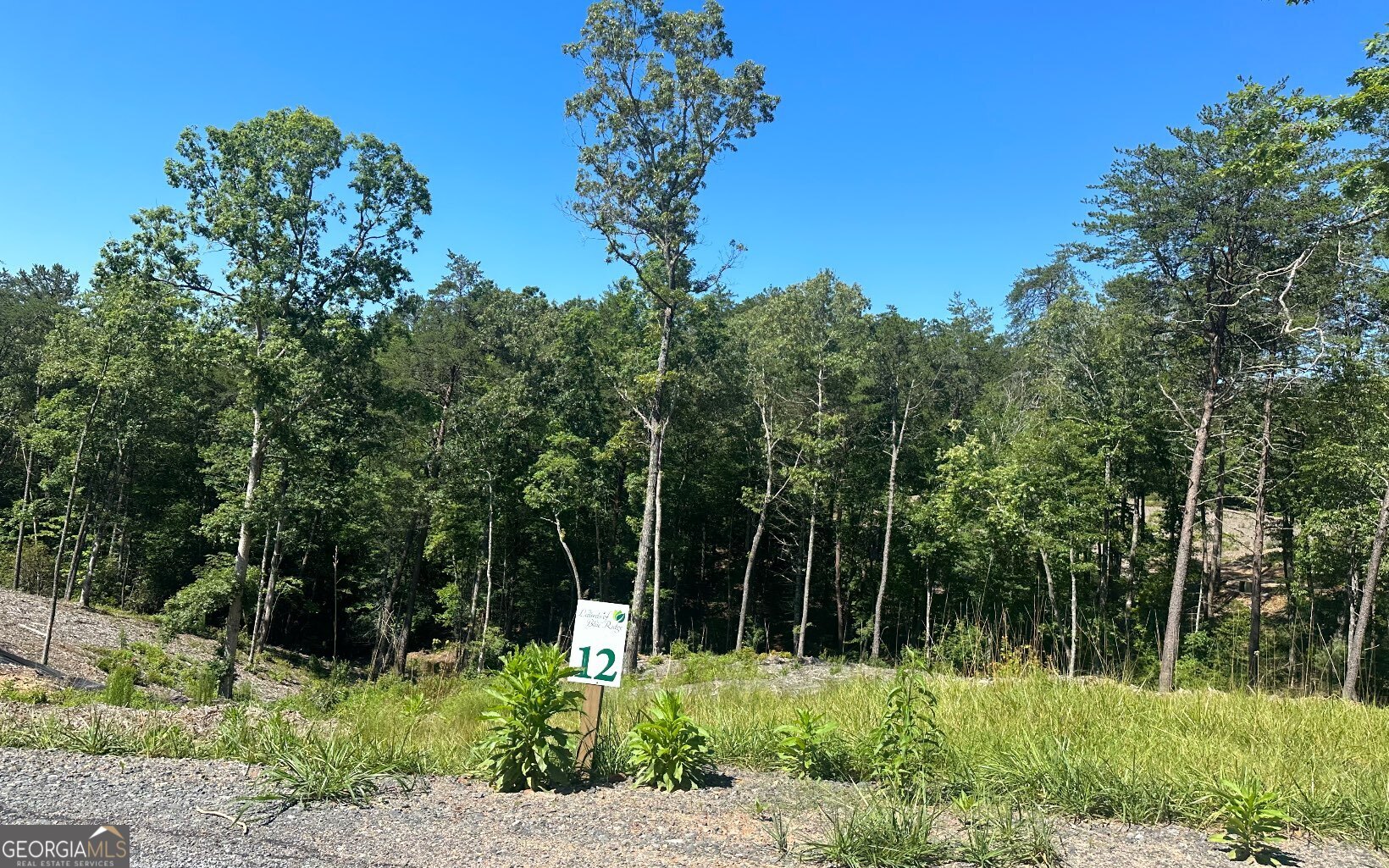 LT 12 Mountain Laurel Ridge