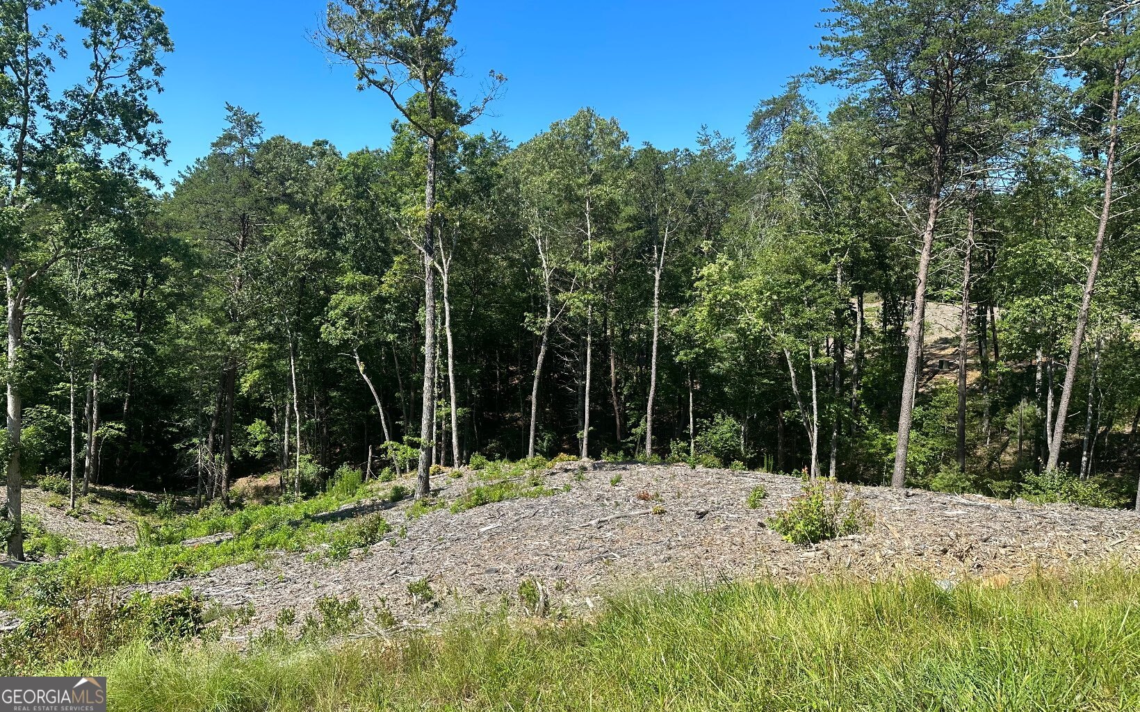 LT 12 Mountain Laurel Ridge