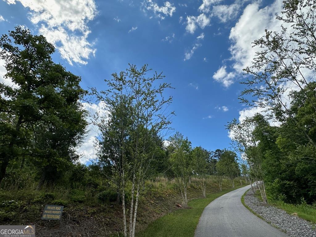 LT 12 Mountain Laurel Ridge
