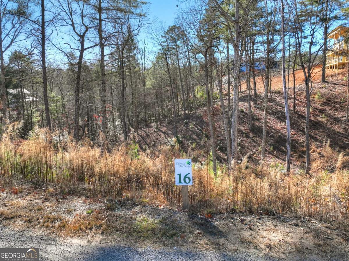 LOT 16 Mountain Laurel Ridge