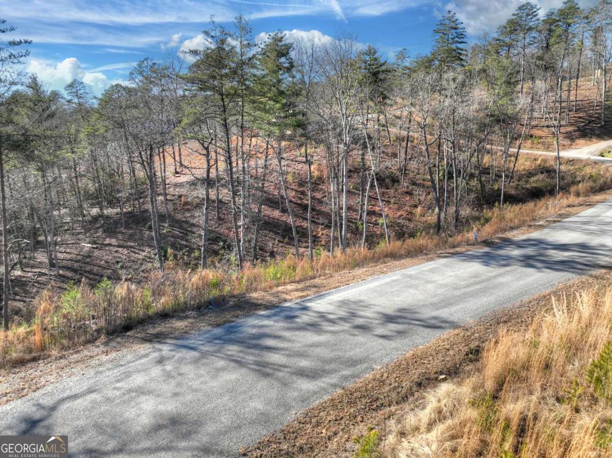 LOT 16 Mountain Laurel Ridge
