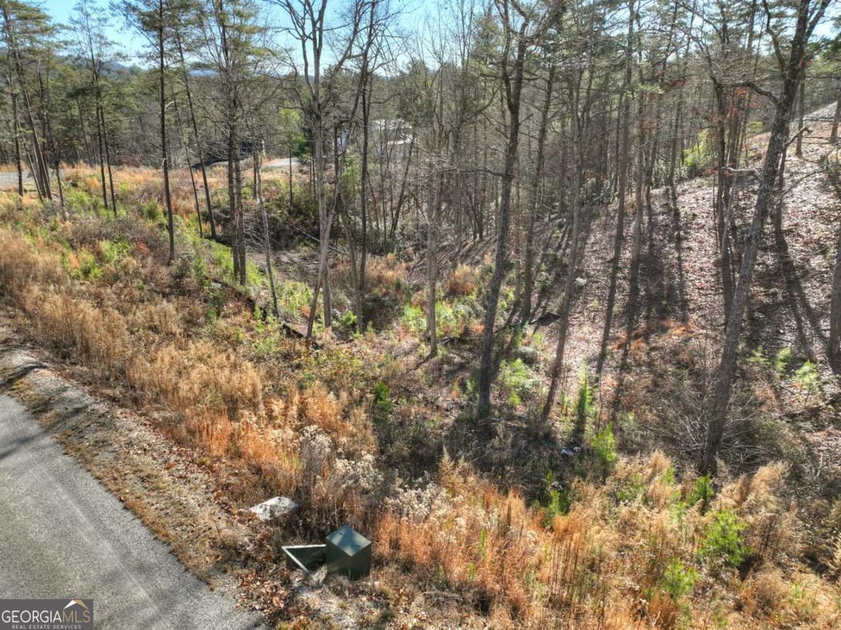 LOT 16 Mountain Laurel Ridge