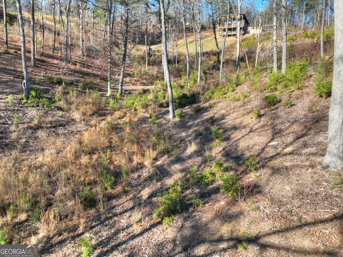 LOT 16 Mountain Laurel Ridge