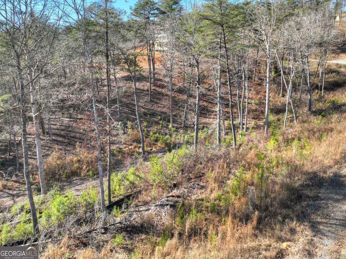 LOT 16 Mountain Laurel Ridge