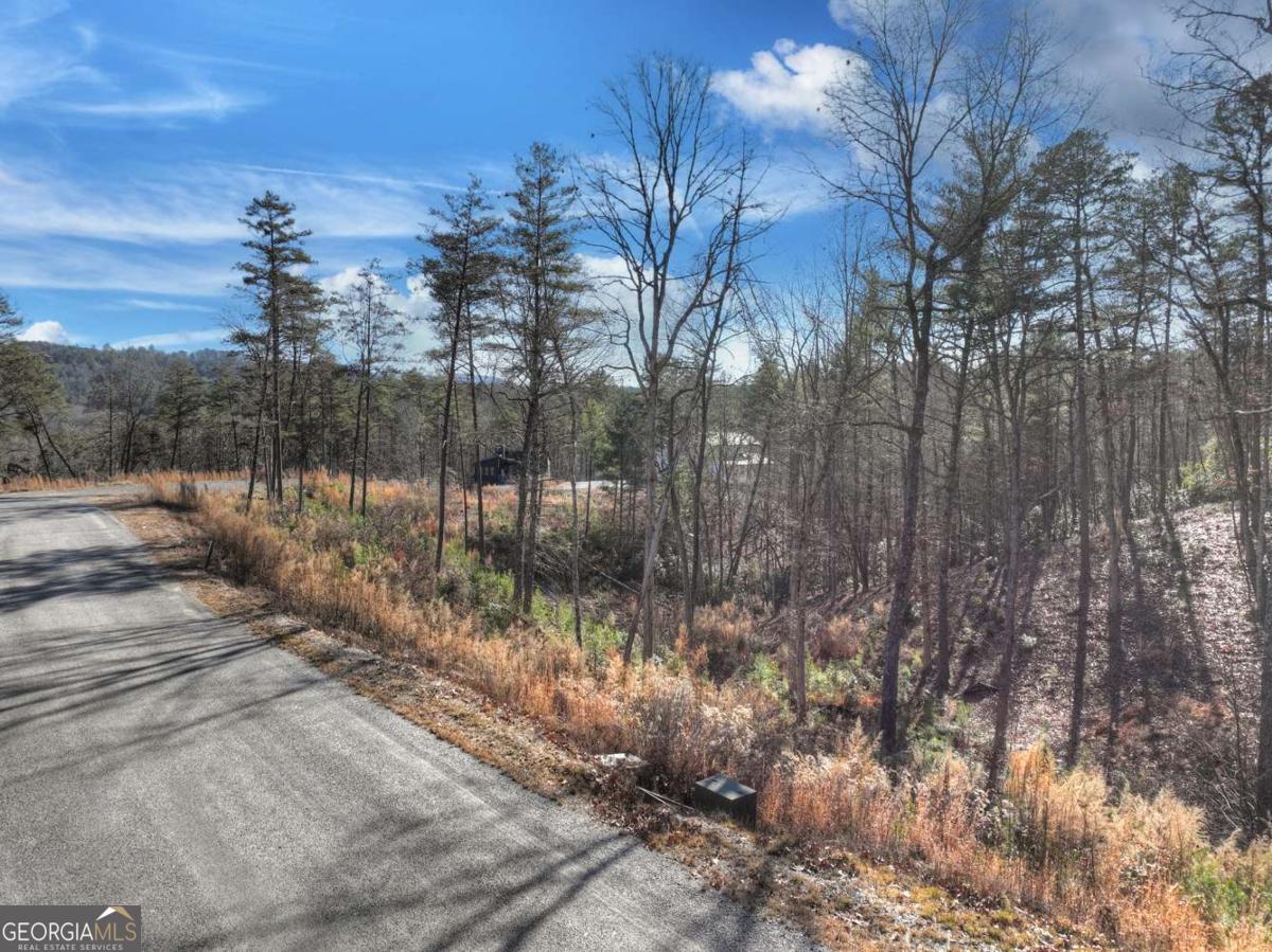 LOT 16 Mountain Laurel Ridge