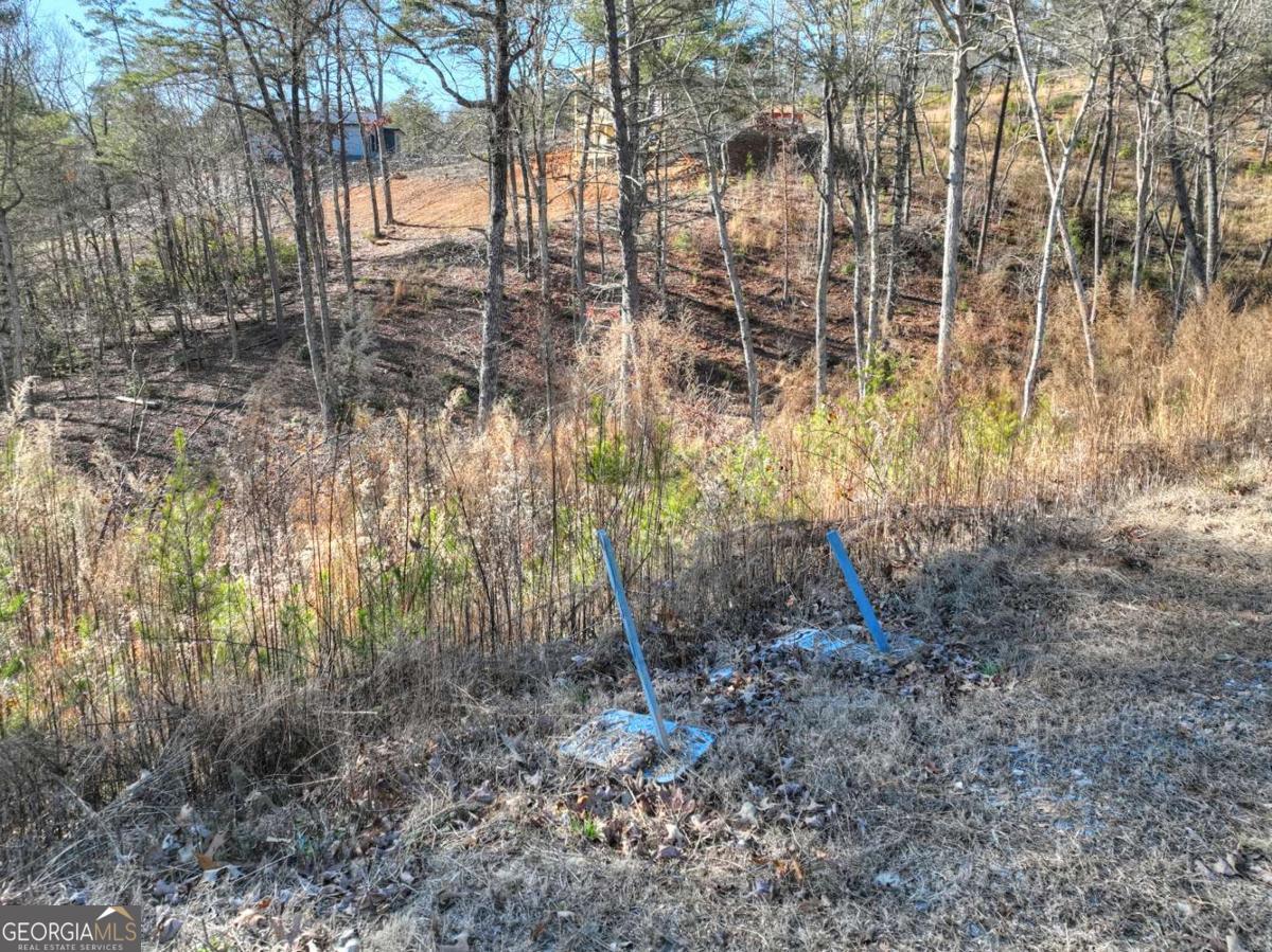 LOT 16 Mountain Laurel Ridge
