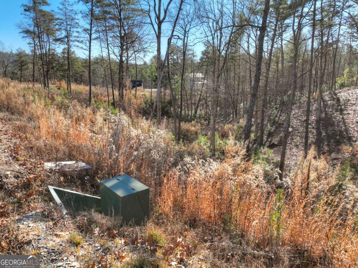 LOT 16 Mountain Laurel Ridge