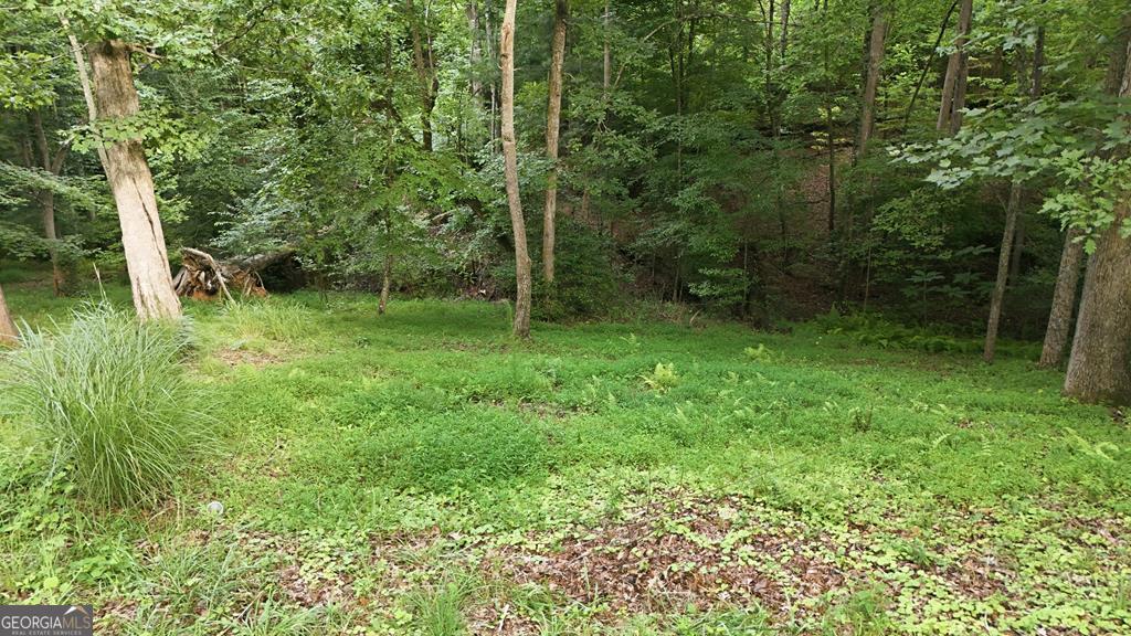 161 Arbor Way
