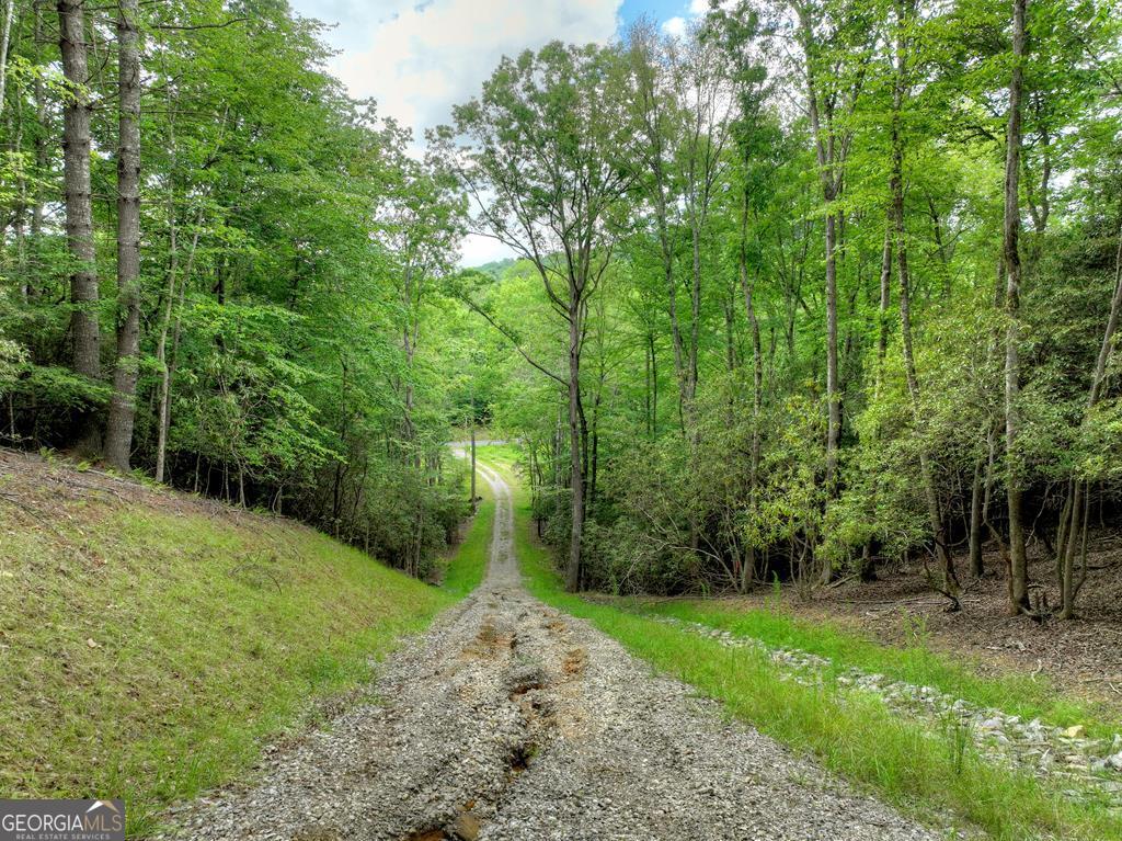 1696 Rocky Top Road