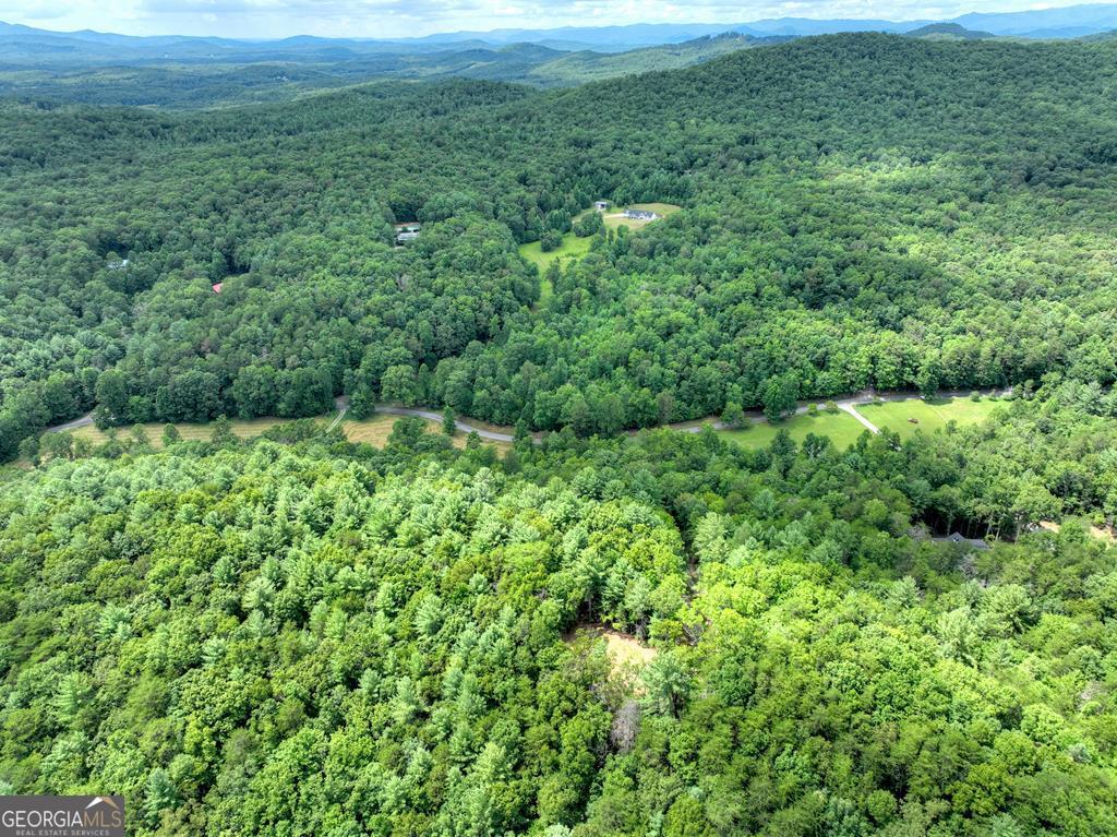 1696 Rocky Top Road
