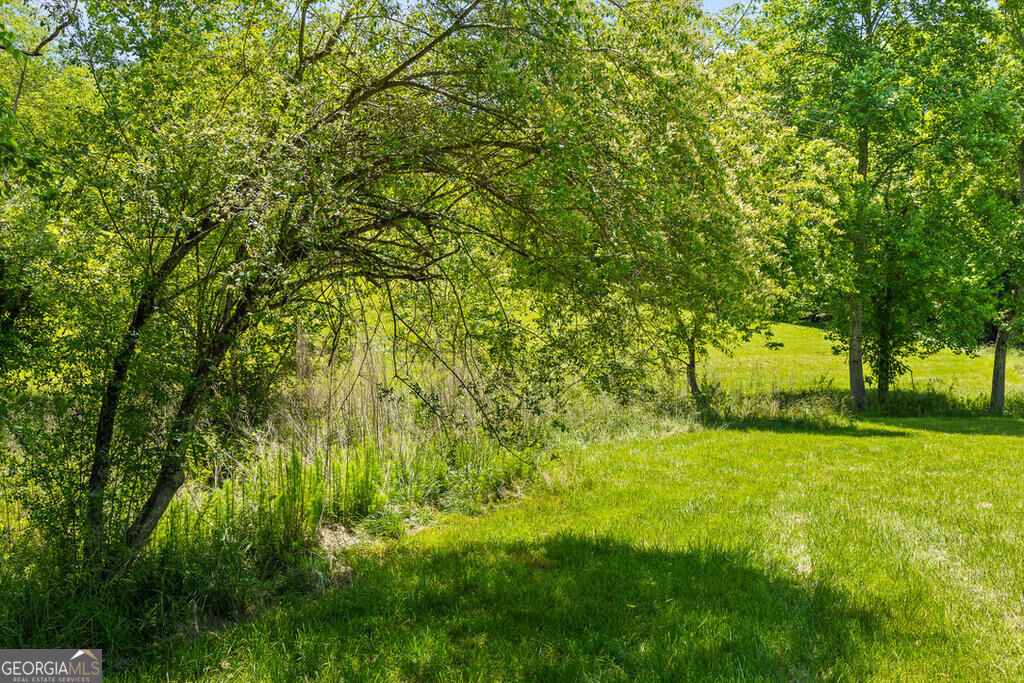 LOT 12 Squirrel Hunting Road
