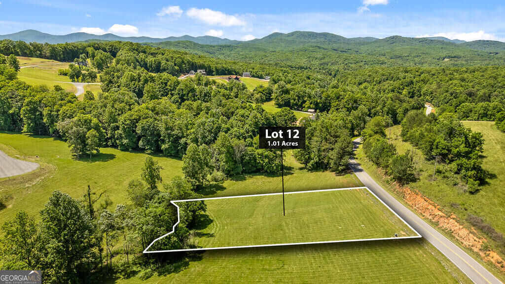 LOT 12 Squirrel Hunting Road