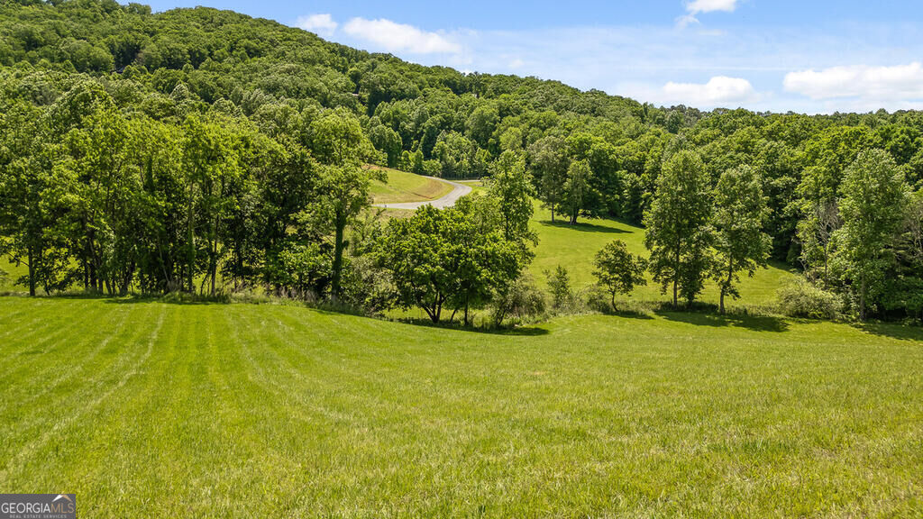 LOT 12 Squirrel Hunting Road