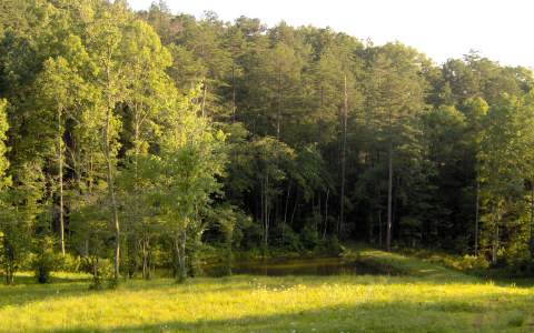 LOT54 Hideaway Falls