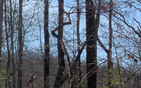 LT32A Stuart Mtn Hideaway