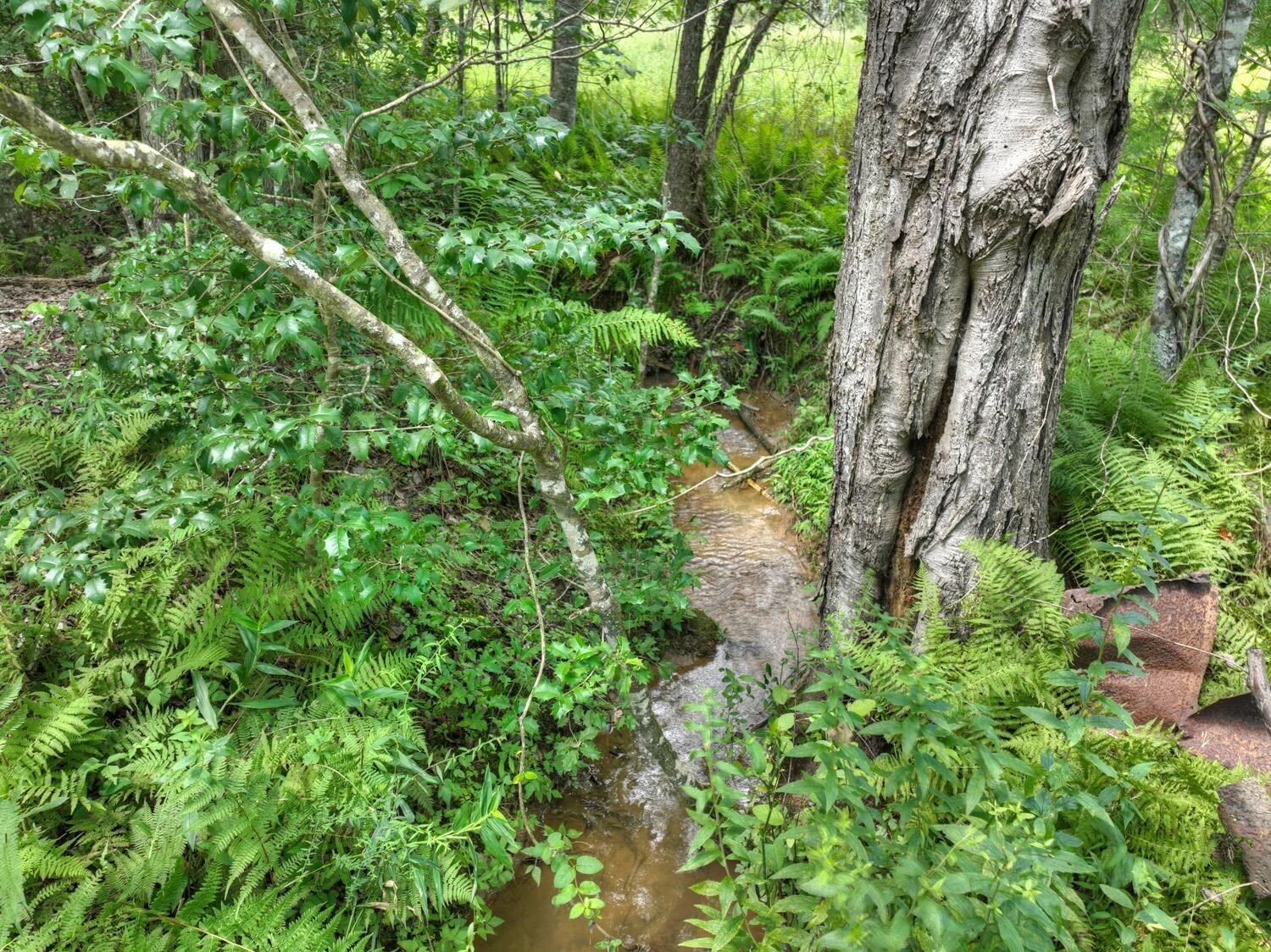 10AC Mt Pleasant/bell Lane