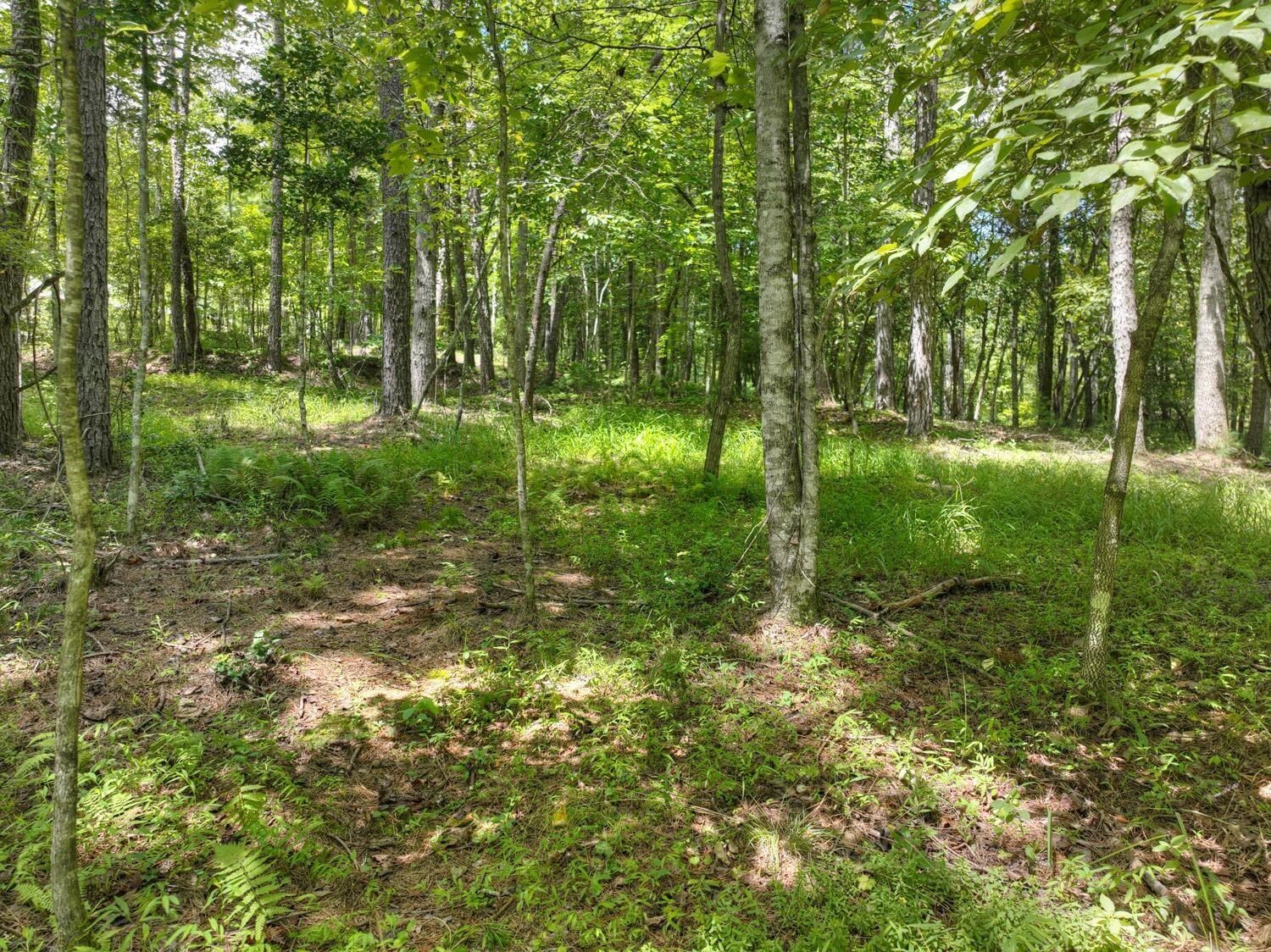 10AC Mt Pleasant/bell Lane