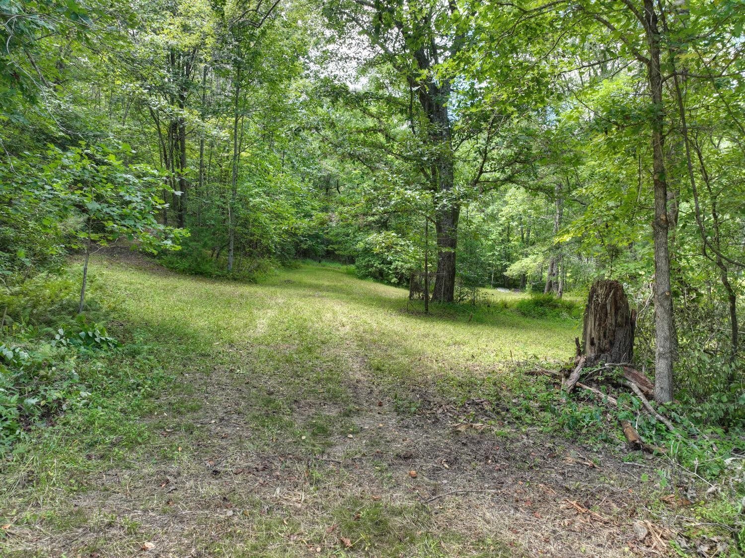 10AC Mt Pleasant/bell Lane