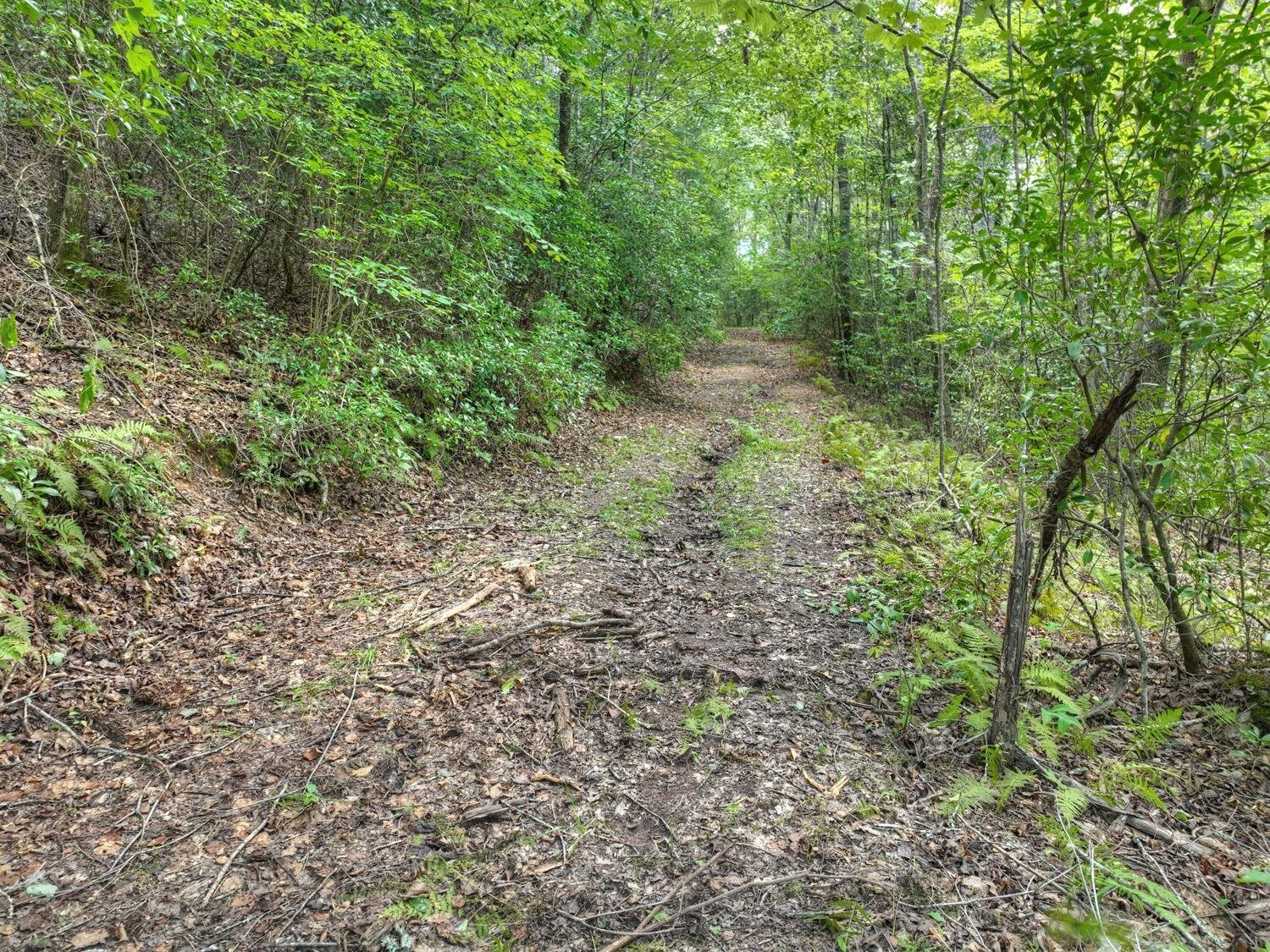 10AC Mt Pleasant/bell Lane